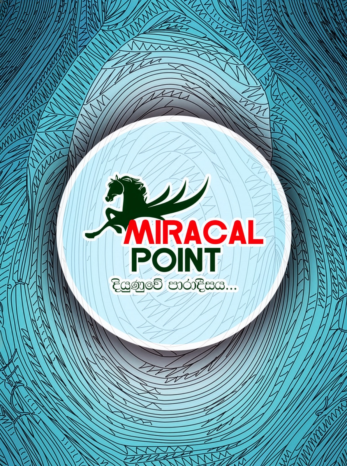 Miracle Point 01